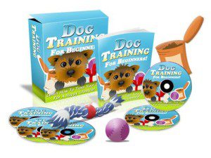 Dog Training For Beginners