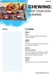How To Stop Your Dog Chewing Household Items